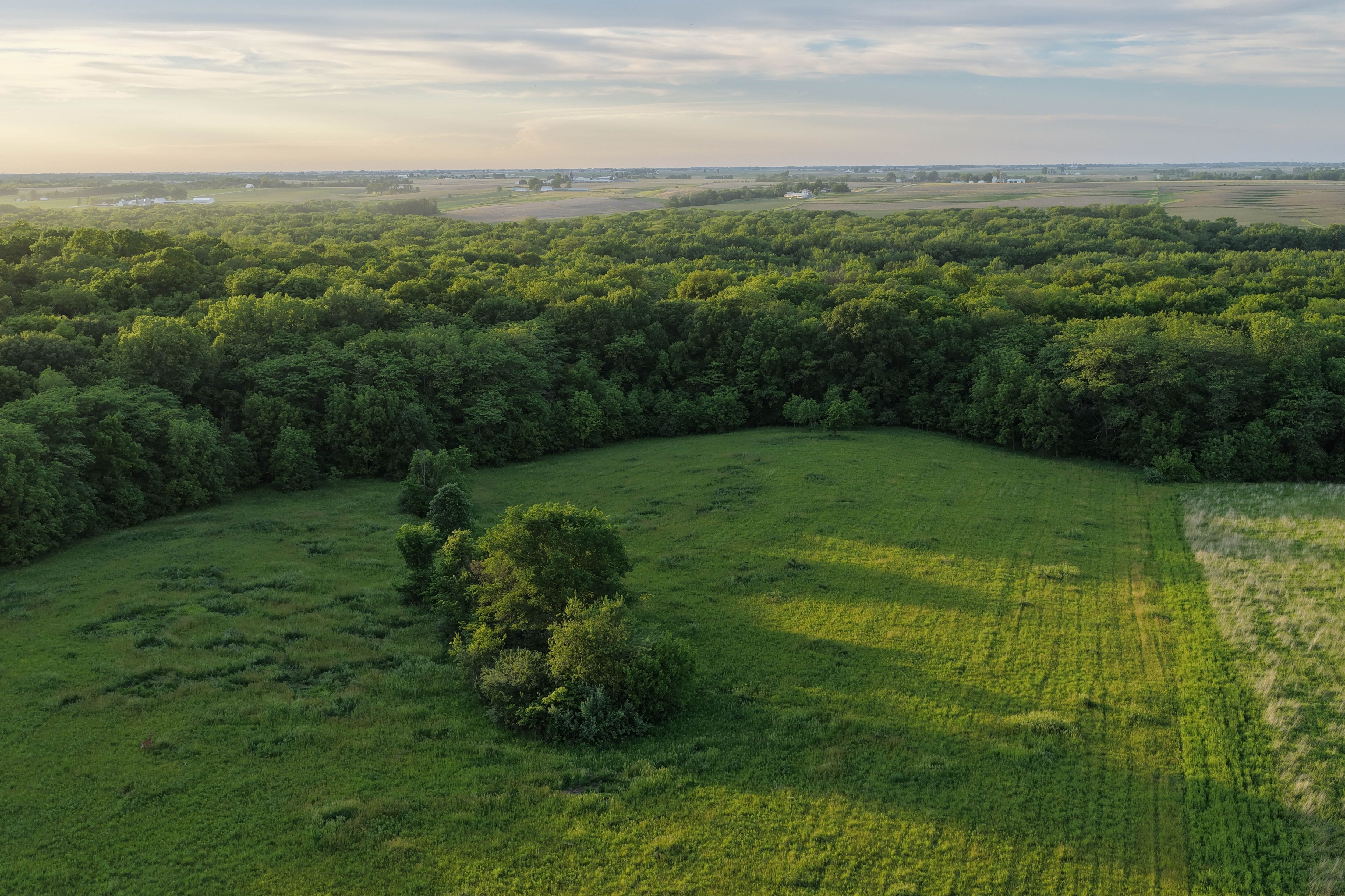 Listing Photo: Washington County Iowa Recreational Land For Sale-25